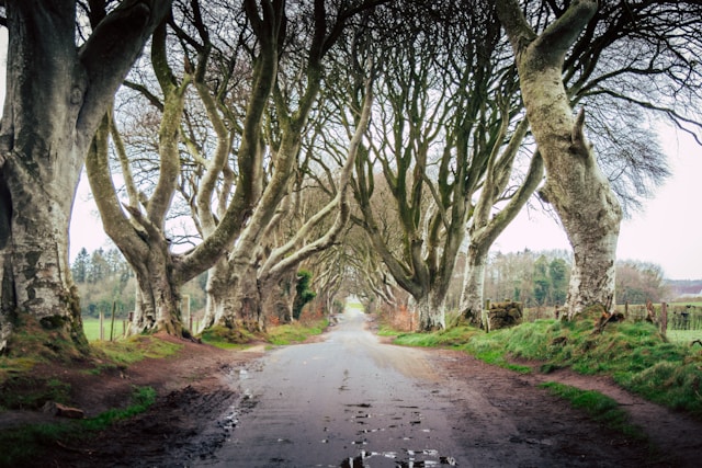 Here are the best road trips in Ireland