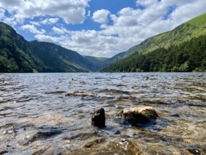 Wicklow, Glendalough, Waterfall & Sheepdog Demo