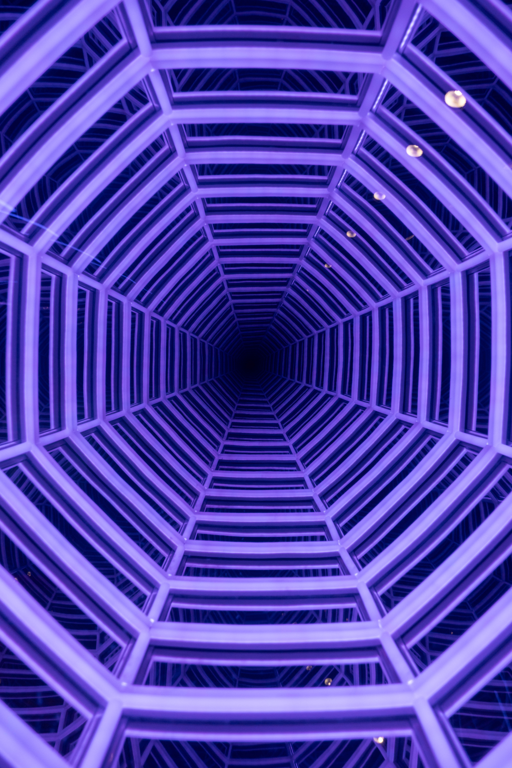 World of Illusion