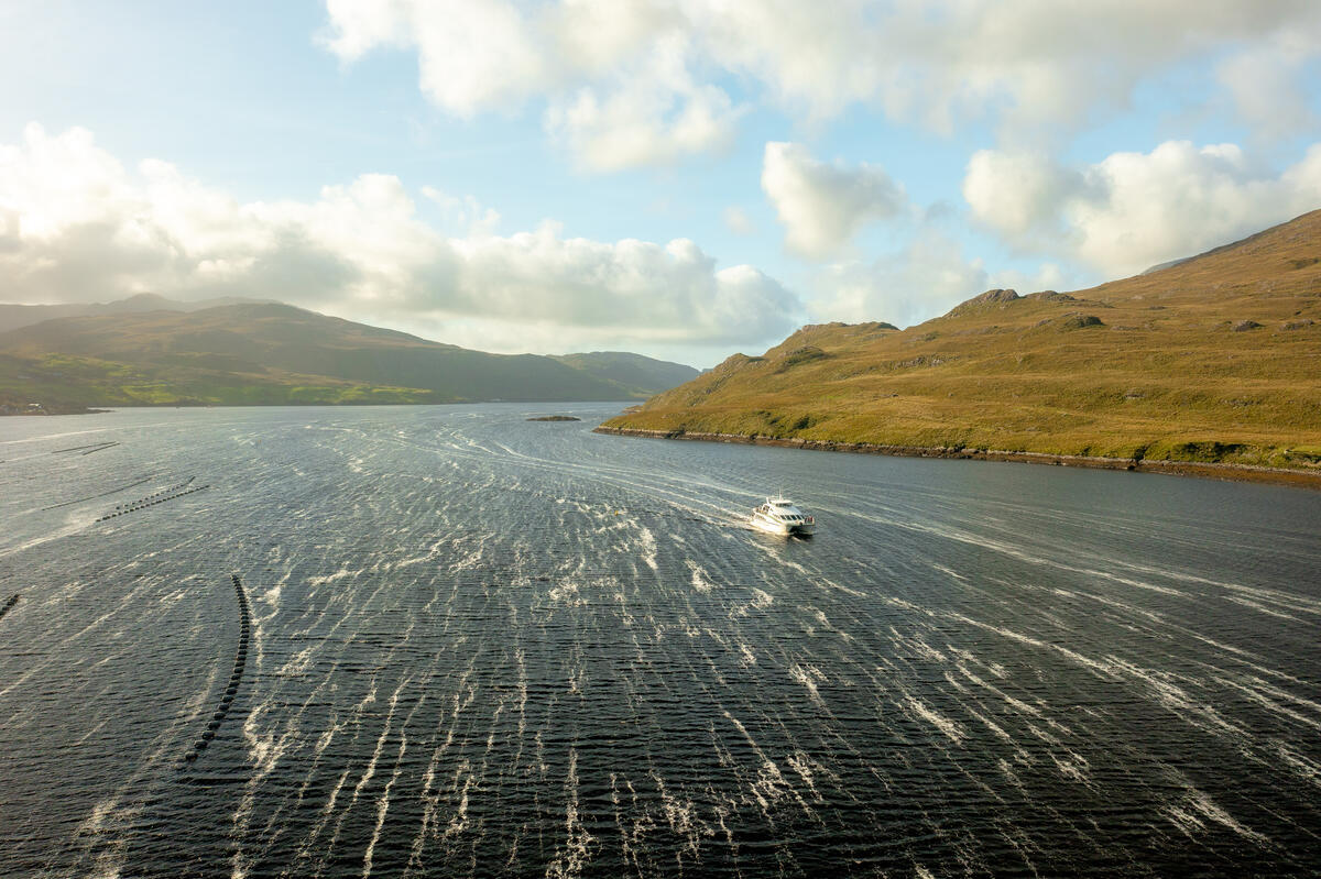 Connemara Killary Fjord boat Tour